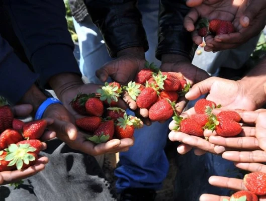 ΟΧΙ ΑΛΛΑ ΚΡΟΚΟΔΕΙΛΙΑ ΔΑΚΡΥΑ ΓΙΑ ΤΙΣ «ΜΑΝΩΛΑΔΕΣ»