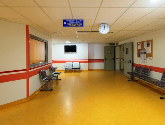 Η ΔΗΜΟΣΙΑ ΚΑΙ ΔΩΡΕΑΝ ΥΓΕΙΑ ΕΙΝΑΙ ΔΙΚΑΙΩΜΑ  ΚΑΙ ΑΞΙΩΜΑ ΓΙΑ ΤΗ ΣΥΝΕΧΕΙΑ ΤΗΣ ΚΟΙΝΩΝΙΑΣ