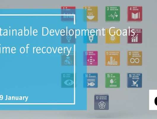 Διαδικτυακό Εργαστήριο - Στόχοι Βιώσιμης Ανάπτυξης σε καιρούς ανάκαμψης
