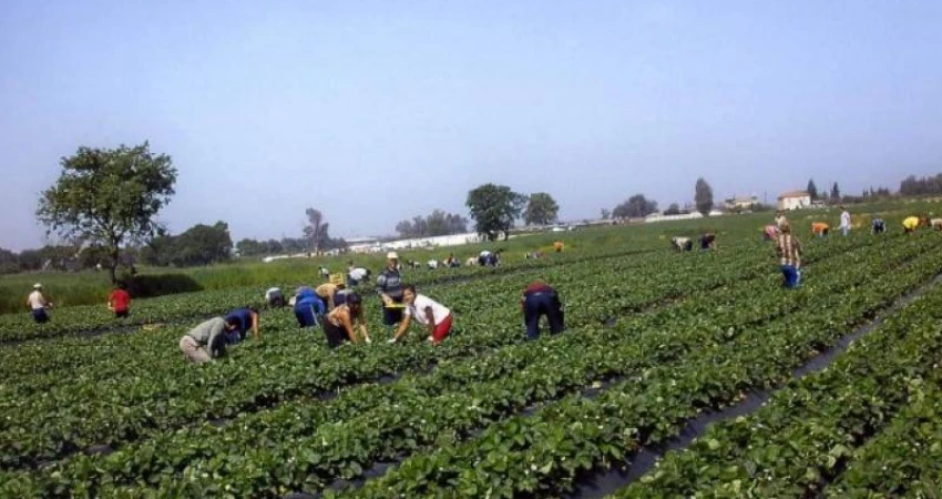 ΑΜΕΣΑ ΚΑΙ ΟΥΣΙΑΣΤΙΚΑ ΜΕΤΡΑ ΕΔΩ ΚΑΙ ΤΩΡΑ ΩΣΤΕ ΝΑ ΜΗ ΘΡΗΝΗΣΟΥΜΕ ΑΛΛΟΥΣ ΕΡΓΑΤΕΣ ΓΗΣ