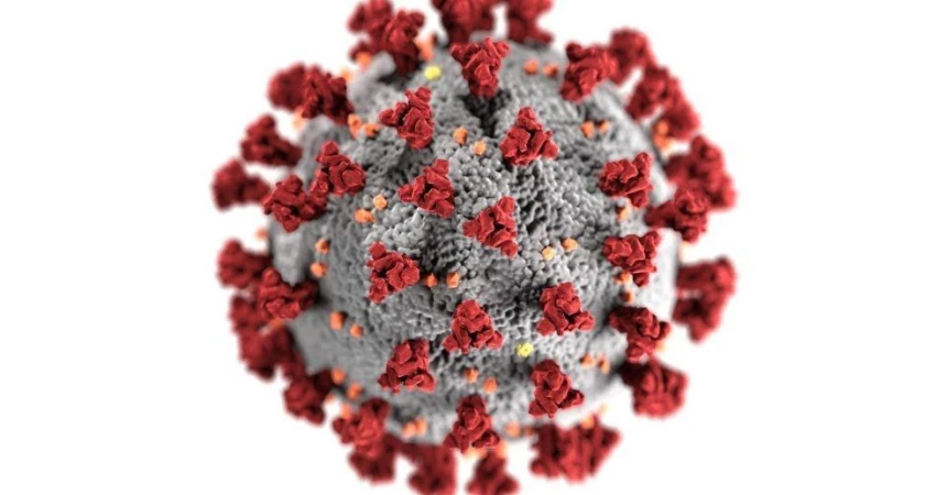 Πανδημία - COVID 19  Μοναδικά μας όπλα: Ενημέρωση και γνώση  Εμβολιασμός  και Αλληλεγγύη