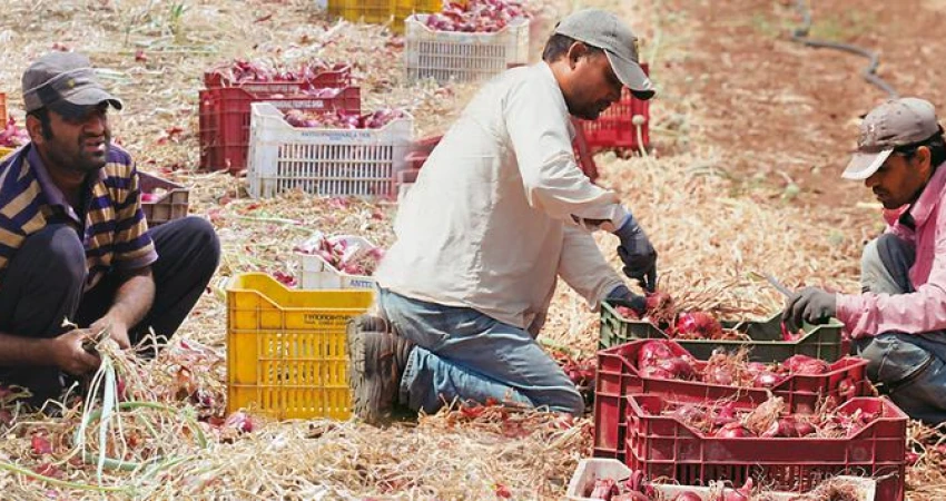 ΔΕΛΤΙΟ ΤΥΠΟΥ-Ανέλεγκτη η παραβατικότητα στην εργασία στον αγροτικό τομέα - Αόρατες για την Πολιτεία οι συνθήκες δουλείας και οι κίνδυνοι ακόμα και για τη ζωή των εργατών γης