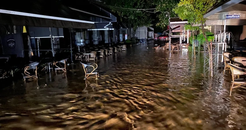 25η Νοέμβρη Παγκόσμια ημέρα για την εξάλειψη της βίας κατά των γυναικών 24.11.16